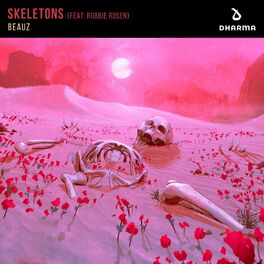 Album cover of Skeletons (feat. Robbie Rosen)
