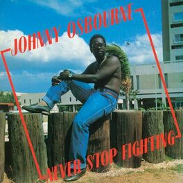 Album cover of Never Stop Fighting