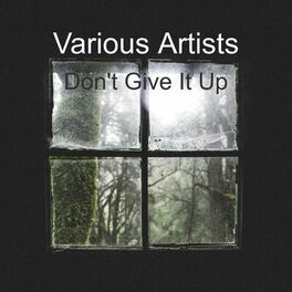 Album cover of Don't Give It Up