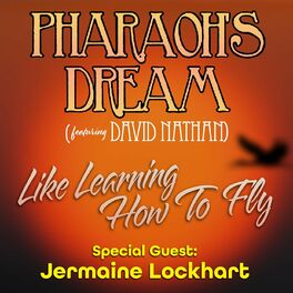 Album cover of Like Learning How to Fly (feat. David Nathan & Jermaine Lockhart)