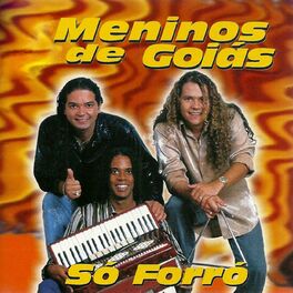 Album cover of Só Forró