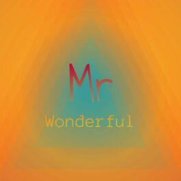 Album cover of Mr Wonderful