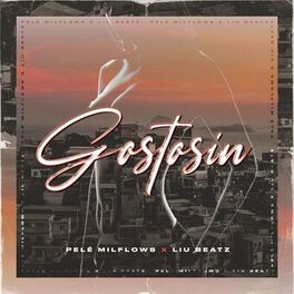 Album cover of Gostosin