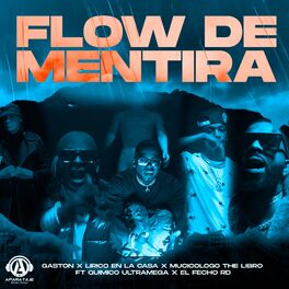Album cover of Flow De Mentira