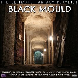 Album cover of Black Mould The Ultimate Fantasy Playlist