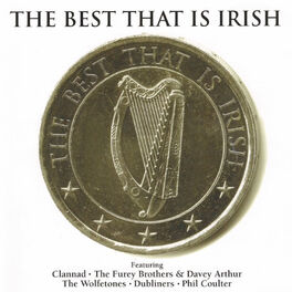 Album cover of The Best That is Irish Volume I