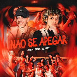 Album cover of Não Se Apegar