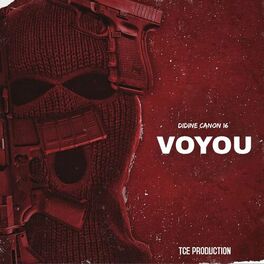 Album cover of Voyou