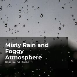 Album cover of Misty Rain and Foggy Atmosphere