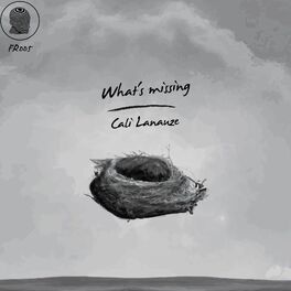 Album cover of What's Missing