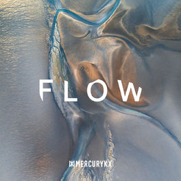 Album cover of FLOW