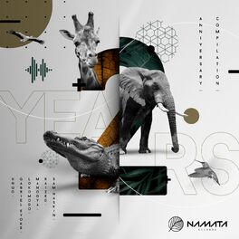 Album cover of 2 Years of Namata