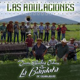 Album cover of Las Adulaciones