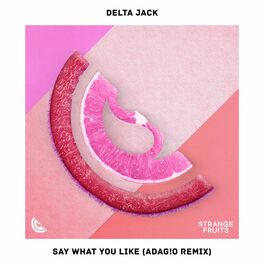 Album cover of Say What You Like (ADAG!O Remix)