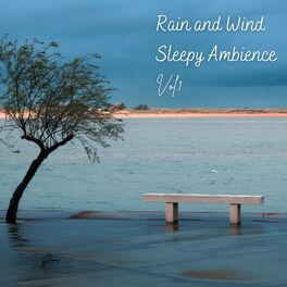 Album cover of Rain and Wind Sleepy Ambience Vol. 1