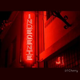 Album cover of Indecente