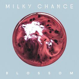 Album cover of Blossom (Deluxe)