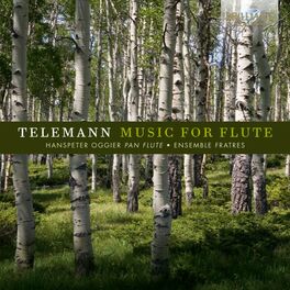 Album cover of Telemann: Music for Flute