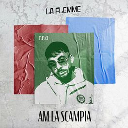 Album cover of La flemme (T.F #3)