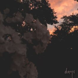 Album cover of days (feat. Mel Stone)