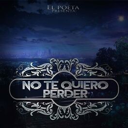 Album cover of NO TE QUIERO PERDER
