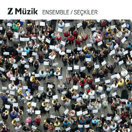 Album cover of Z Müzik Ensemble