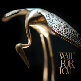 Album cover of Wait For Love