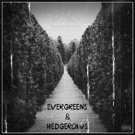 Album cover of Evergreens & Hedgerows