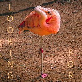 Album picture of Looking for (Acoustic)