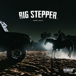 Album cover of Big Stepper