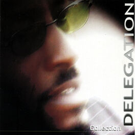 Album cover of Delegation - Collection