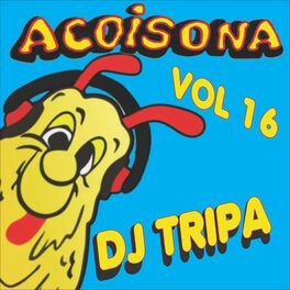 Album cover of Acoisona, Vol. 16