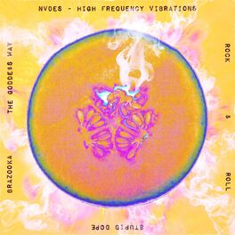Album cover of High Frequency Vibrations