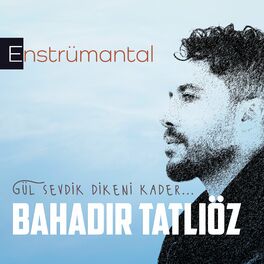 Album cover of Gül Sevdik Dikeni Kader (Enstrümantal)