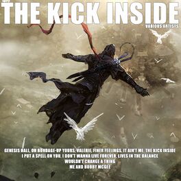 Album cover of The Kick Inside