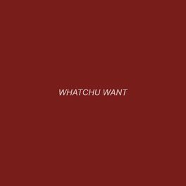Album cover of Whatchu Want (feat. SnoAngel)