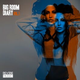 Album cover of Big Room Diary, Vol. 1