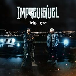 Album cover of Imprevisível