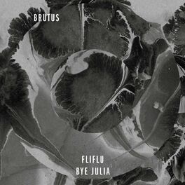 Album cover of Fliflu / Bye Julia