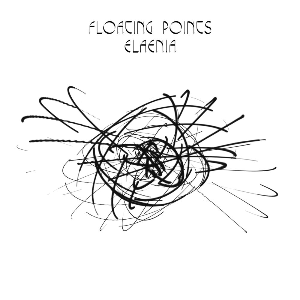 Музыка точка. Floating points Elaenia.