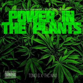 Album cover of Power In the Plants