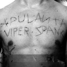 Album cover of Viper Spank