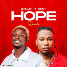 Album cover of Hope (Remix)