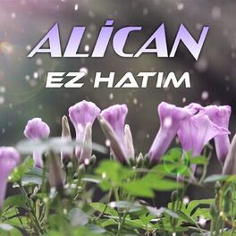 Album cover of Ez Hatım