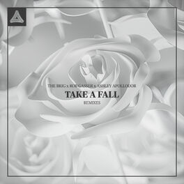 Album cover of Take A Fall (Remixes)