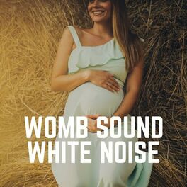 Album cover of Womb Sound White Noise