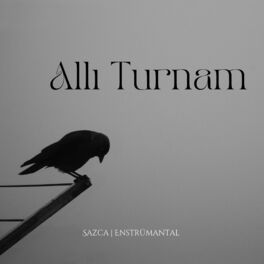 Album cover of Allı Turnam