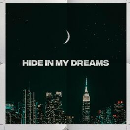 Album cover of hide in my dreams