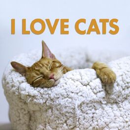 Album cover of I Love Cats