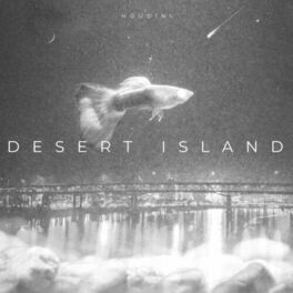 Album cover of Desert Island